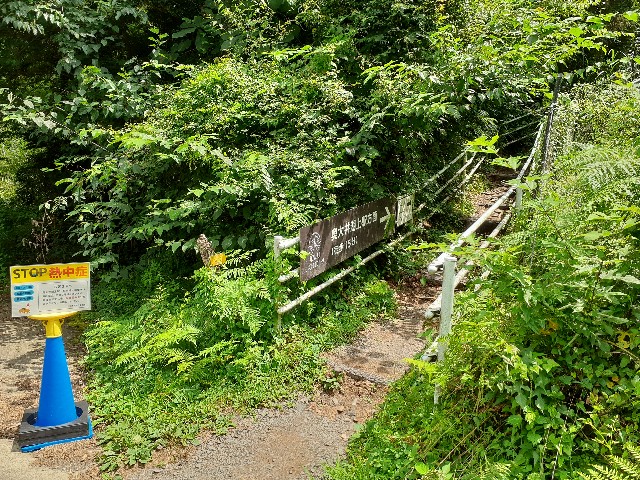 f:id:navi110:20240812143706j:image