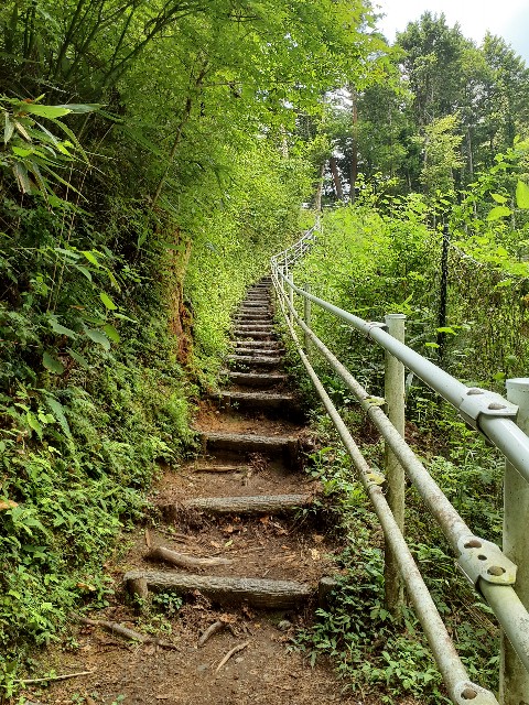 f:id:navi110:20240812143854j:image