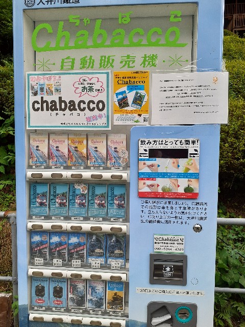 f:id:navi110:20240812150125j:image