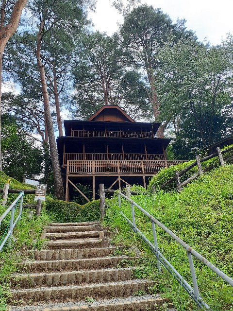 f:id:navi110:20240812151024j:image