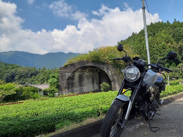 f:id:navi110:20240813001129j:image