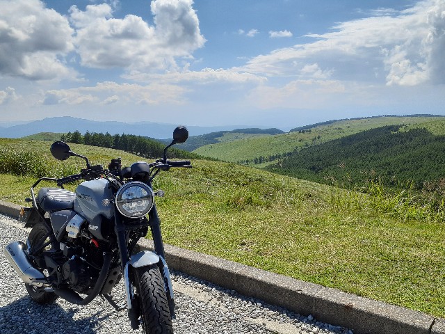 f:id:navi110:20240819170818j:image