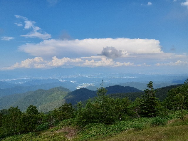 f:id:navi110:20240819171831j:image