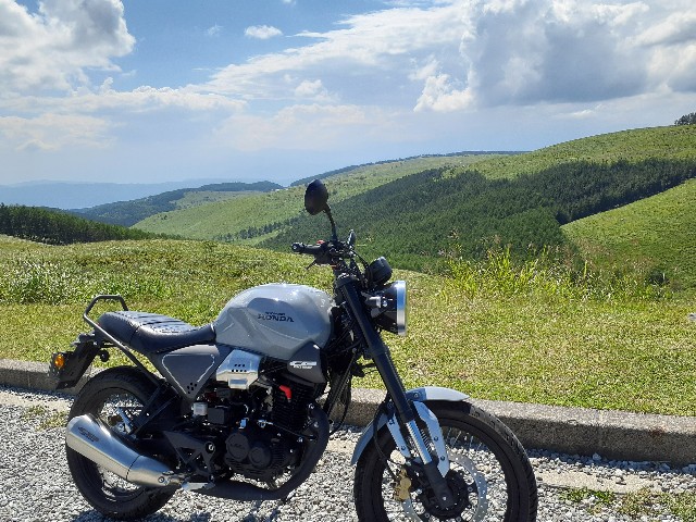 f:id:navi110:20240819172600j:image