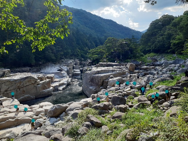 f:id:navi110:20240820183128j:image