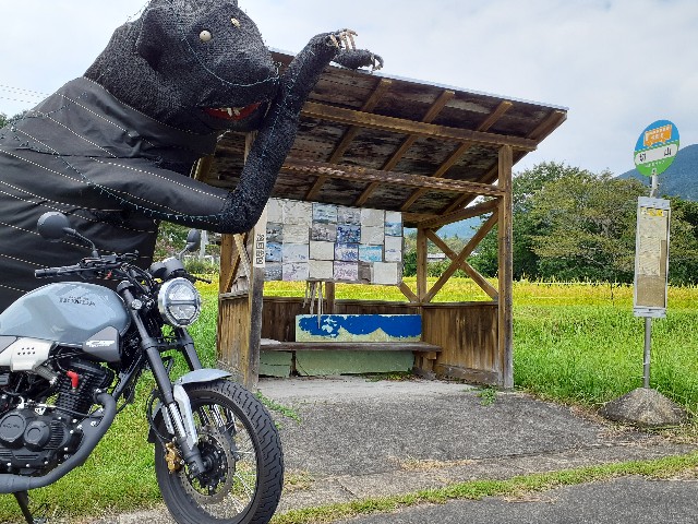 f:id:navi110:20240907212933j:image