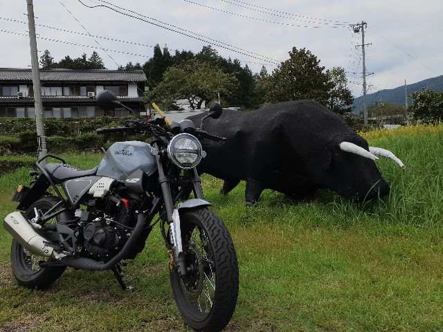 f:id:navi110:20240907212958j:image