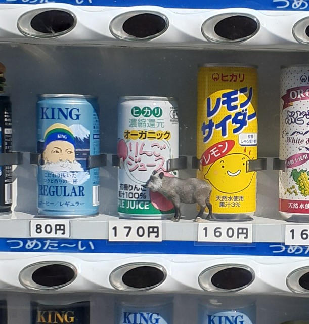 f:id:navi110:20240907214953j:image