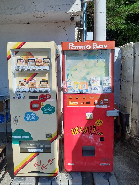 f:id:navi110:20240907215641j:image