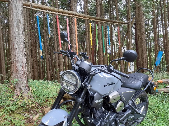 f:id:navi110:20240916211956j:image