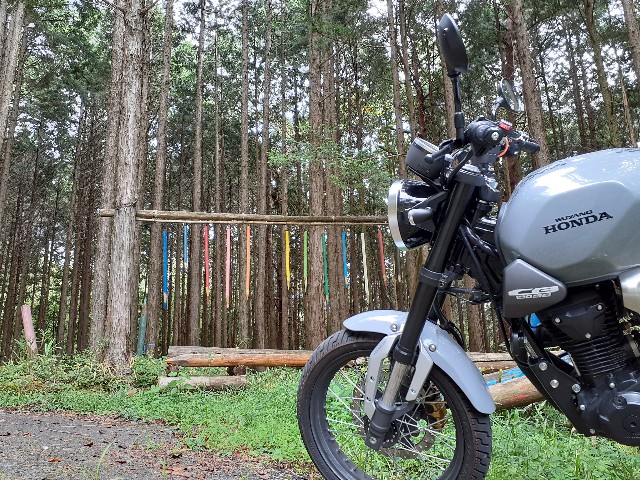 f:id:navi110:20240916212859j:image