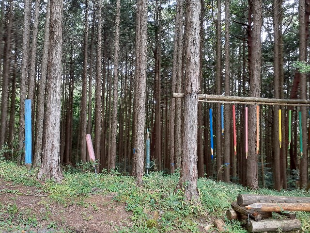 f:id:navi110:20240916213234j:image