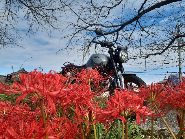 f:id:navi110:20241005181755j:image