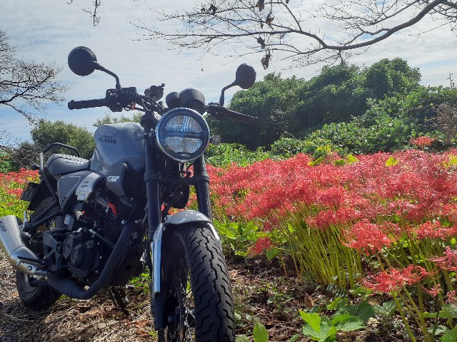 f:id:navi110:20241005182243j:image