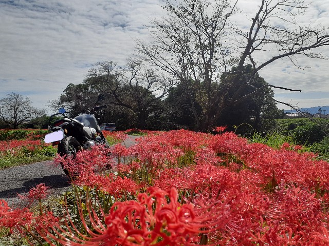 f:id:navi110:20241005182503j:image