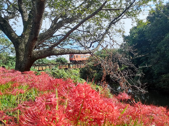 f:id:navi110:20241005182807j:image