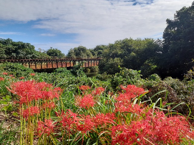 f:id:navi110:20241005182824j:image