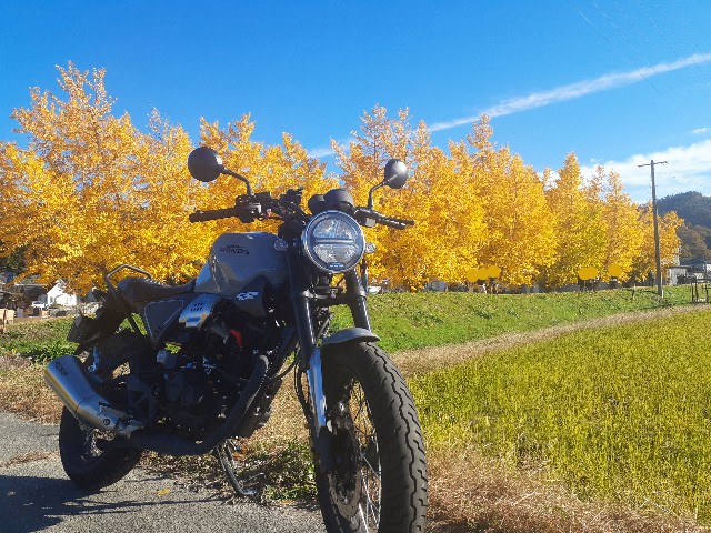 f:id:navi110:20241123204113j:image