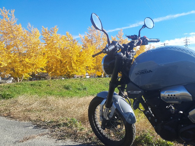 f:id:navi110:20241123204625j:image