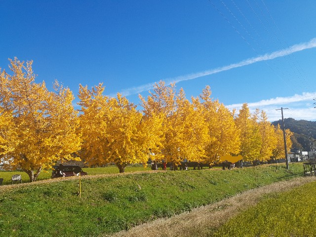 f:id:navi110:20241123204703j:image