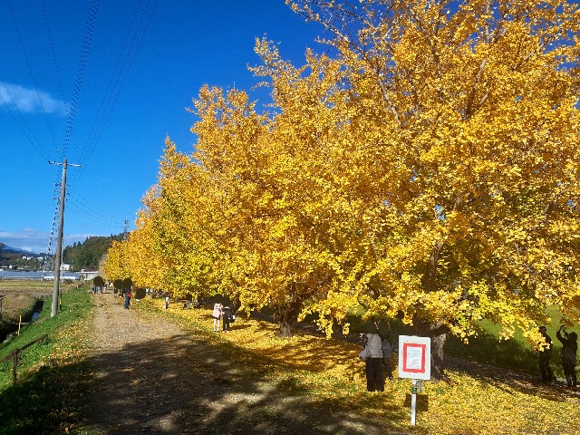 f:id:navi110:20241123205037j:image