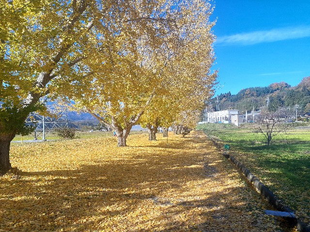 f:id:navi110:20241123205322j:image