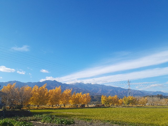 f:id:navi110:20241123205401j:image