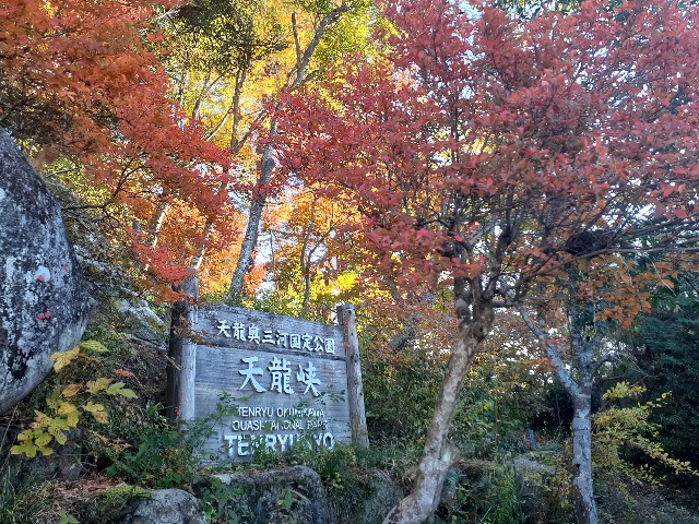 f:id:navi110:20241124081502j:image