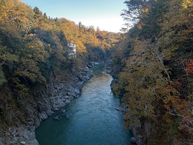 f:id:navi110:20241124083312j:image