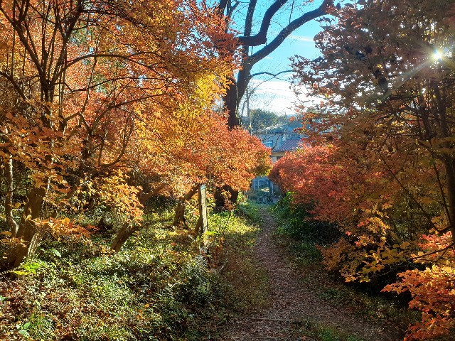 f:id:navi110:20241124083601j:image