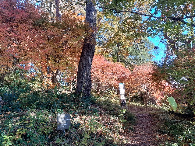 f:id:navi110:20241124083616j:image