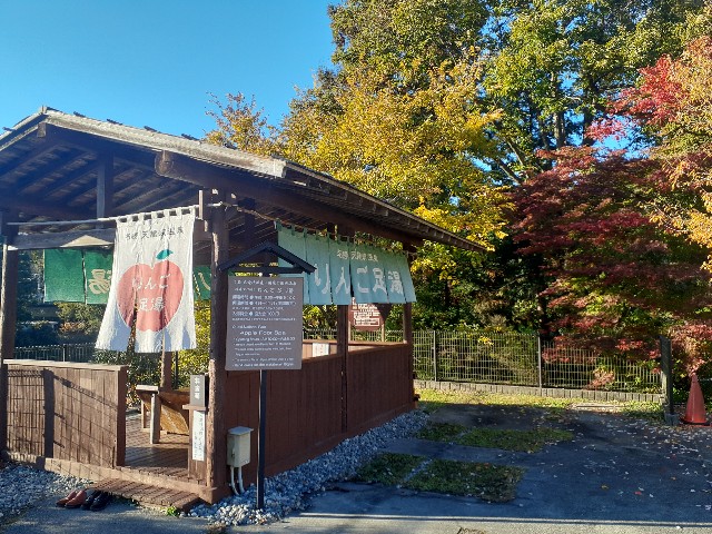 f:id:navi110:20241124084113j:image