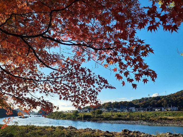 f:id:navi110:20241201183408j:image