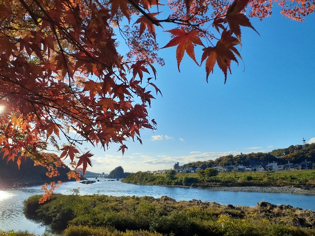 f:id:navi110:20241201183425j:image