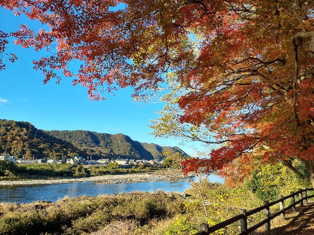 f:id:navi110:20241201183503j:image