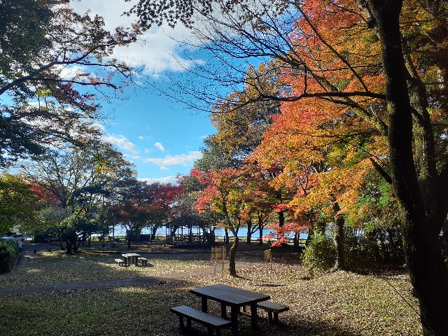 f:id:navi110:20241201183611j:image