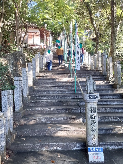 f:id:navi110:20241201184400j:image