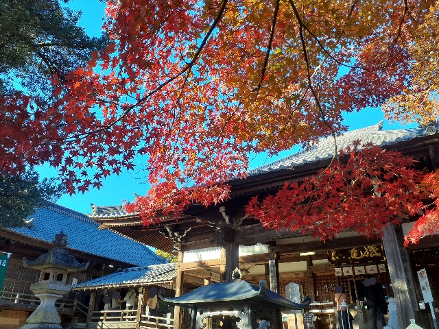 f:id:navi110:20241201184545j:image