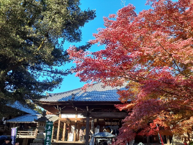 f:id:navi110:20241201184615j:image