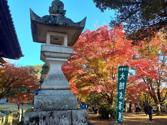 f:id:navi110:20241201184758j:image