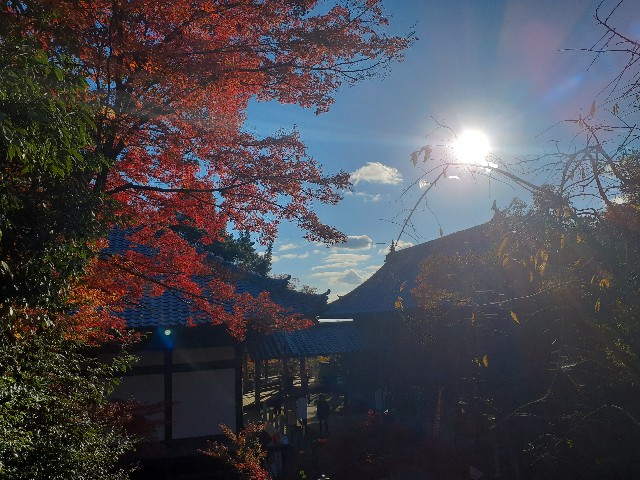 f:id:navi110:20241201184958j:image