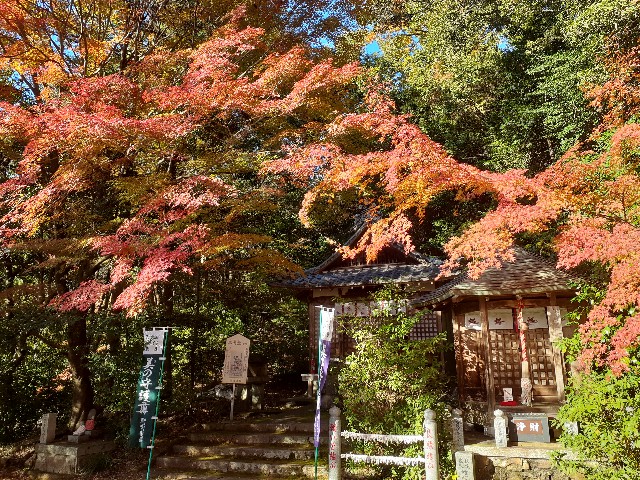 f:id:navi110:20241201185127j:image