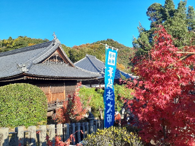 f:id:navi110:20241201185449j:image