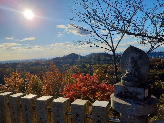 f:id:navi110:20241201185840j:image