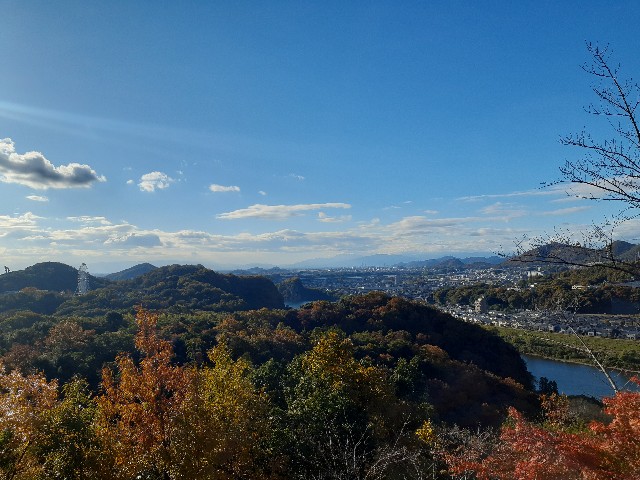 f:id:navi110:20241201185916j:image