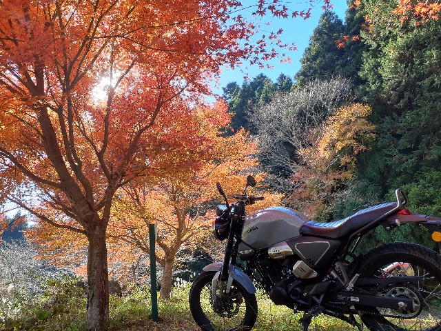 f:id:navi110:20241202174206j:image