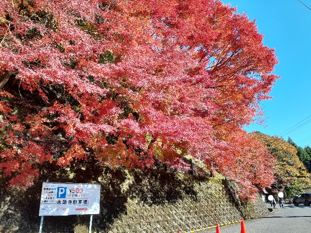 f:id:navi110:20241202175241j:image