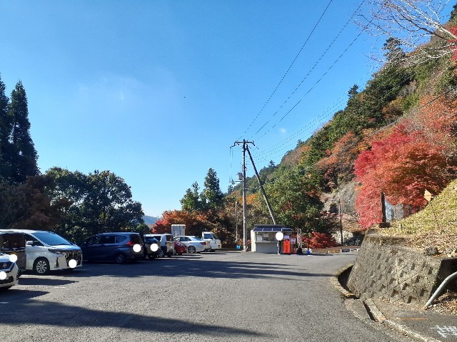 f:id:navi110:20241202175303j:image