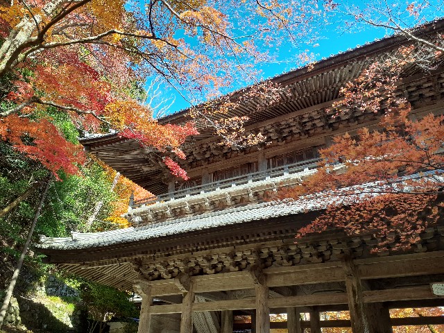 f:id:navi110:20241202180624j:image