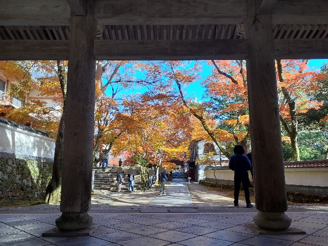 f:id:navi110:20241202181023j:image